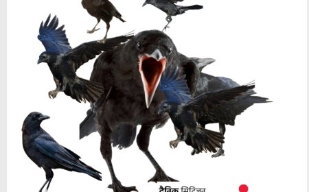 मुसलमानो सावधान हो जाओ...  मुस्लिम हितैशी कव्वे कांव कांव कर मंडराने लगे है...