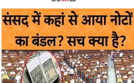 संसद मे नोटो का बंडल कांग्रेस  का हंगामा... जांच का  आदेश