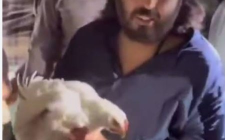 मुर्गियों की मुक्ति से वनतारा तक: अनंत की दरियादिली का तमाशा"