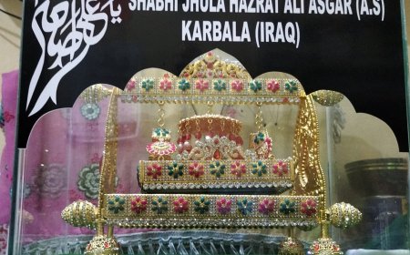 इराक़ कर्बला से औरंगाबाद पहोंचा शबिहे  (गहेवारा ) झुला अली असग़र अ.स.  मोमनिन से ज़ियारत की गुज़ारिश