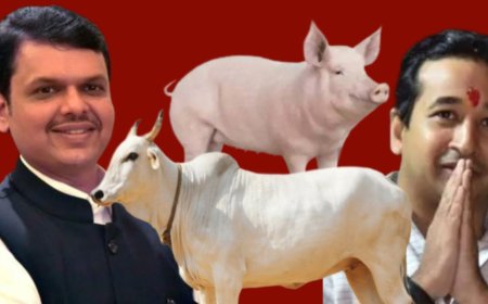 वराह पर सब्सिडी, गाय सड़कों पर  नीति का कैसा न्याय...?