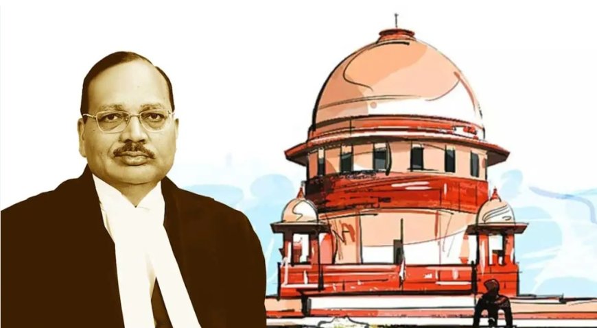 “बेरोजगार युवा कॉकरोच हैं ?” मुख्य न्यायमूर्ती सूर्यकांत की टिप्पणी और लोकतंत्र पर उठते गंभीर सवाल...?